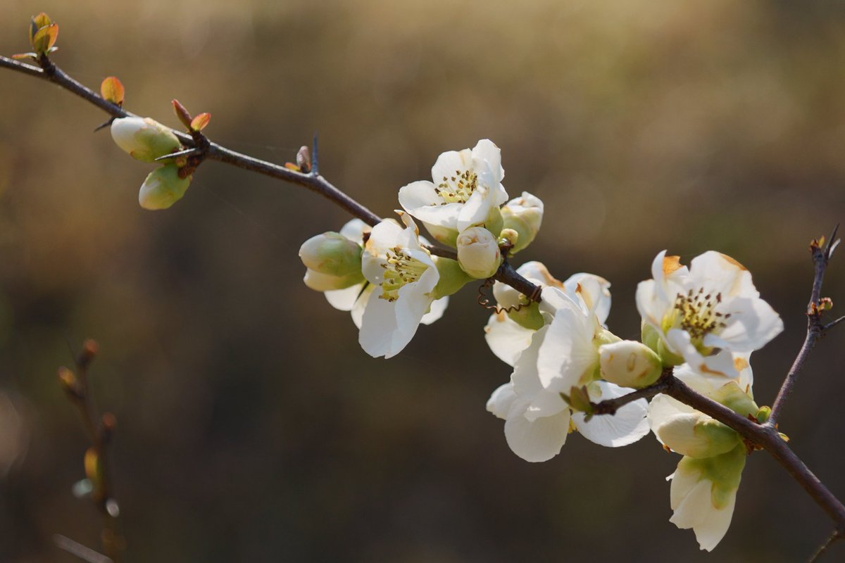 写真好きな人と繋がりたい #カメラ好きな人と繋がりたい #ファインダー