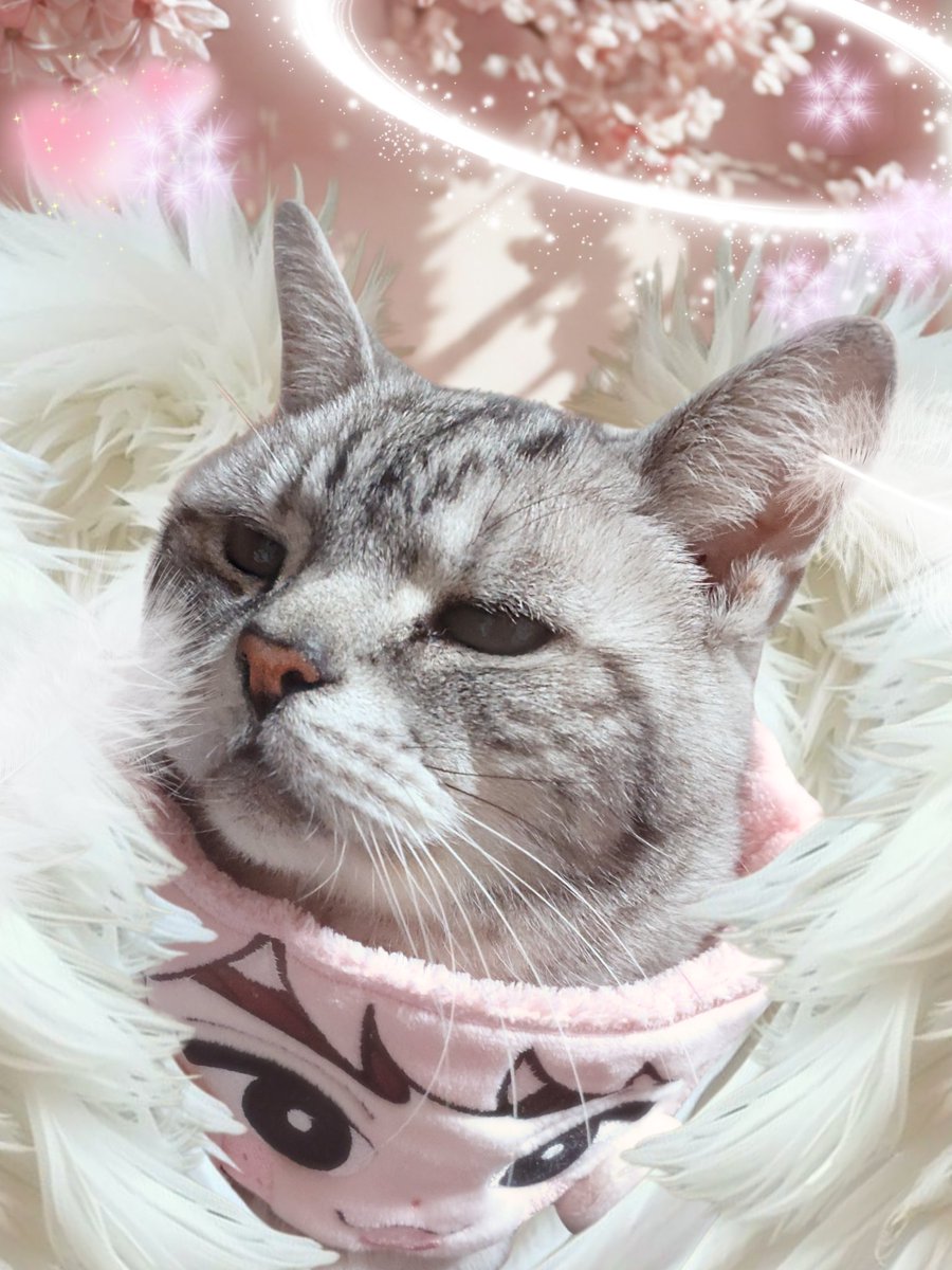 ꒳`*) #マテムり