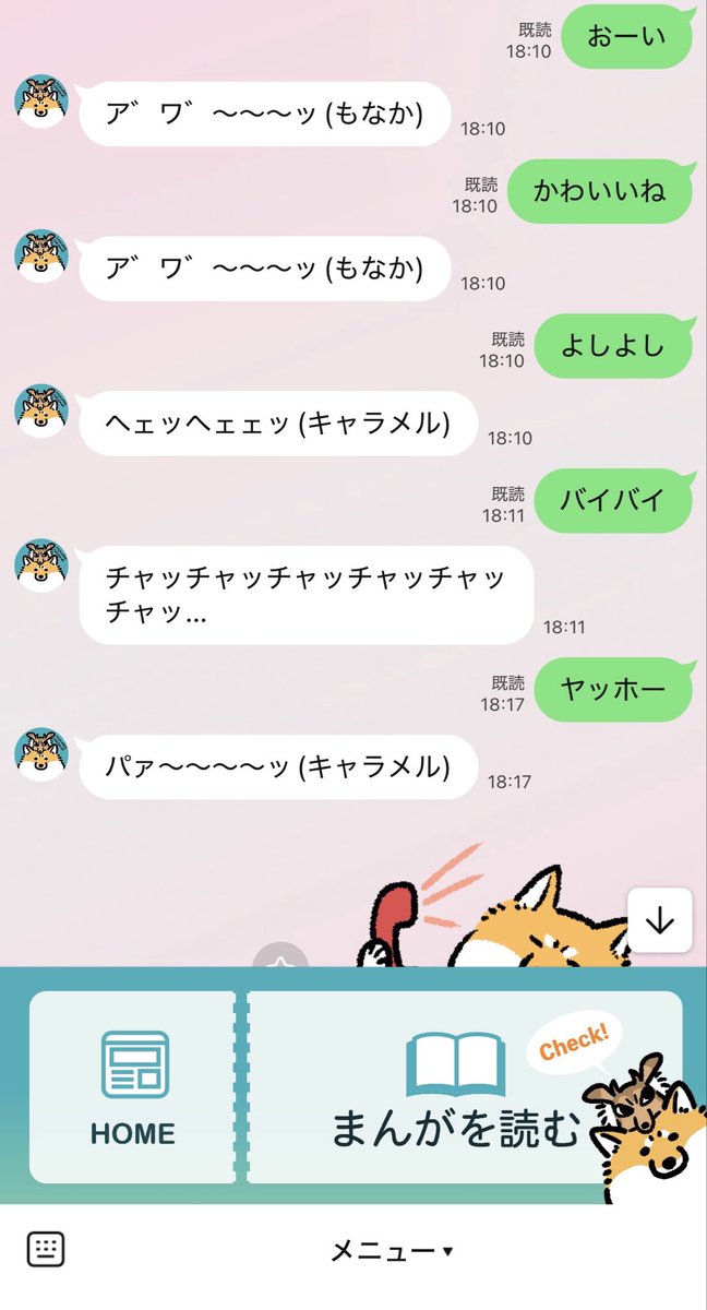 さかぐちまや tweet media