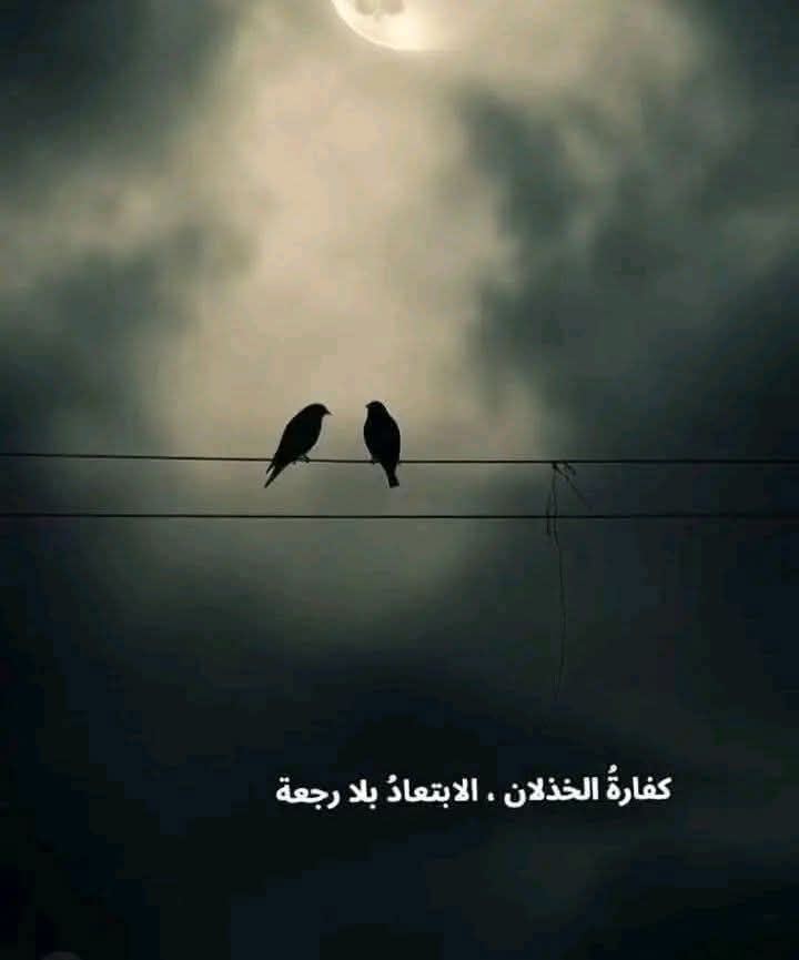 ريم الموادع tweet media