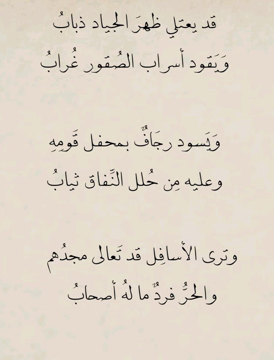 BADER ADEL tweet media