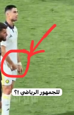 ✨سحاب الليل tweet media