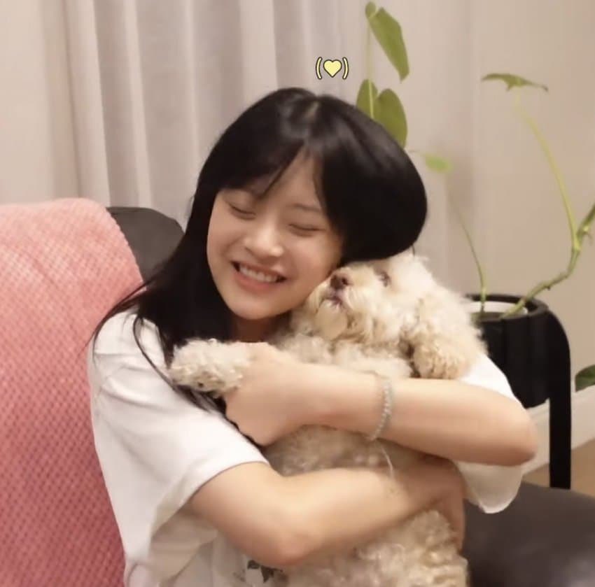 빙빙 tweet media