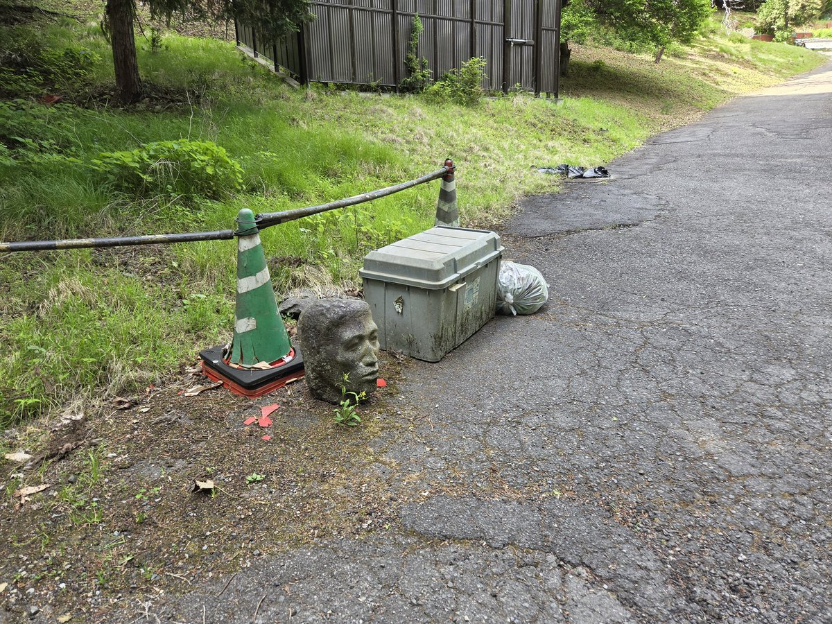 エイ tweet media