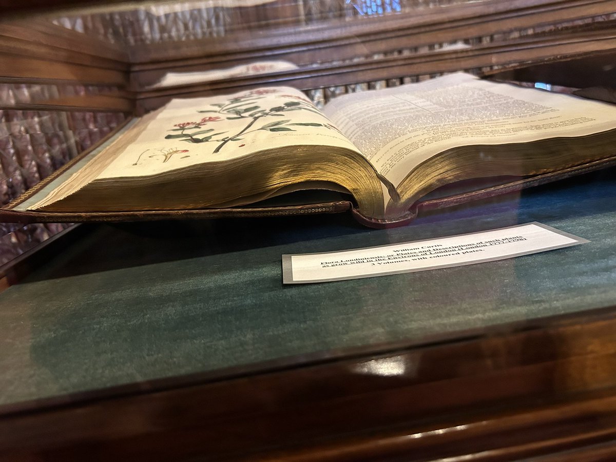 Mark__Lawrence's tweet photo. Fancy edges go way back - these are from the 1700s. https://t.co/HTP3nZbwAD