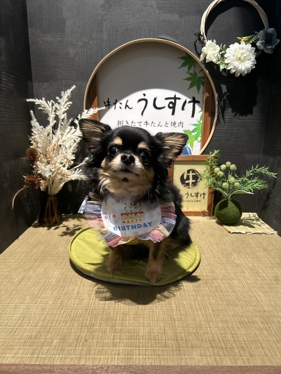 もっちろ tweet media