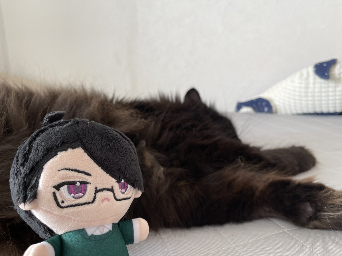 桜日梯子 tweet media