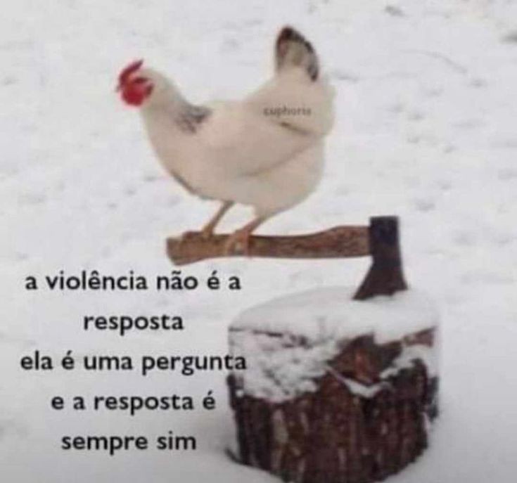 Dino_andarilho tweet media