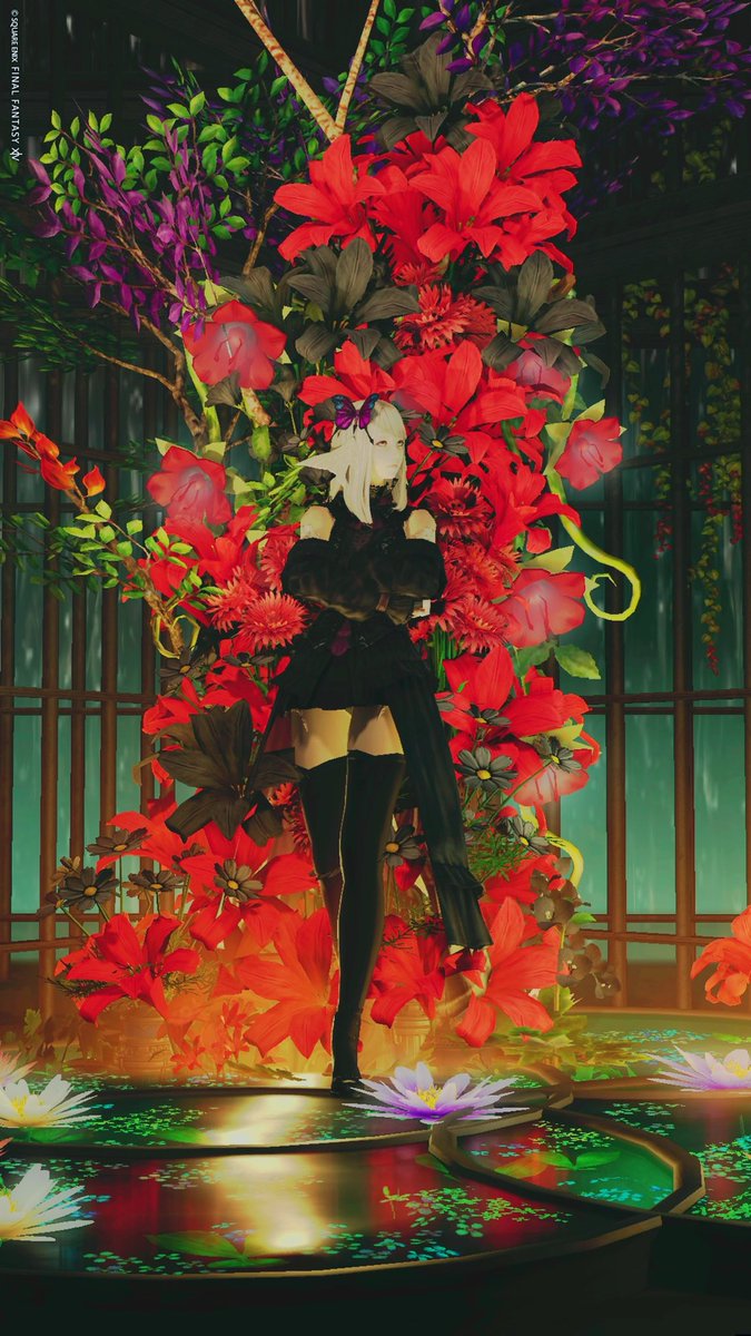 🐰ᩚʏ𝘂𝘂ෆ⸒⸒ tweet media