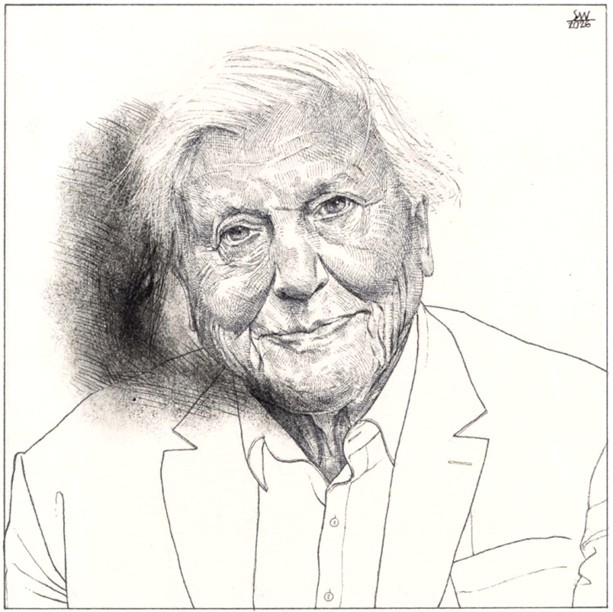 'Sir David Attenborough' (100) by Siegfried Woldhek