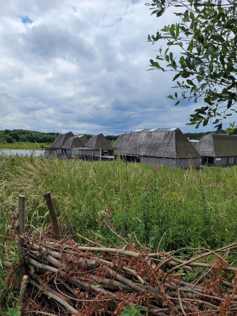DebsHol50's tweet photo. @DailyPicTheme2 Brocholes Nature Reserve ,  floating village #huts on a pontoon , a conservation area of wetlands, woodlands and grasslands, a haven for insects , birds,  mammals, plants and amphibians. https://t.co/BhQms2DKxF