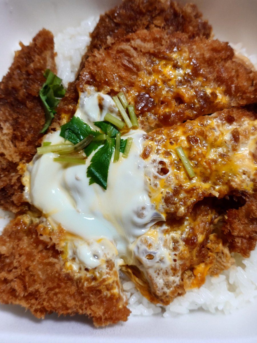 Turbo58867127's tweet photo. 6日 の夕食は、とんかつ【かつや】の【ヒレカツ丼弁当＋御飯大盛り】でした😀

美味しかった😀

#かつや 
#ヒレカツ丼弁当 https://t.co/61q3gEWXjB
