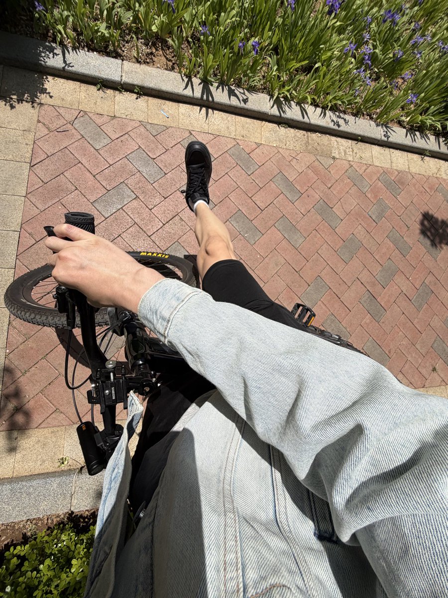 大连一米九二Echo tweet media
