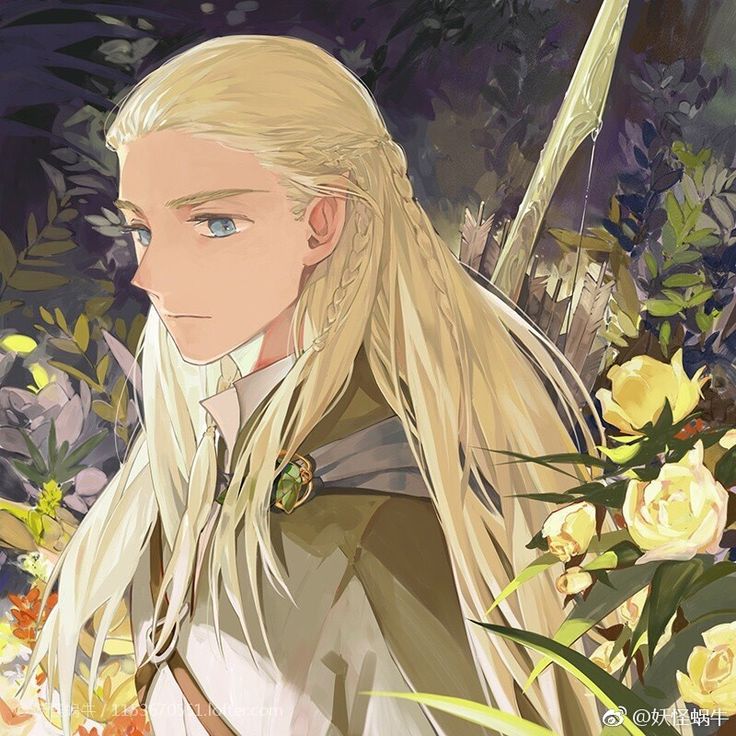 If we get a long haired blonde Jun as a Legolas, I will go insane <a href="/pledis_17/">세븐틴(SEVENTEEN)</a>