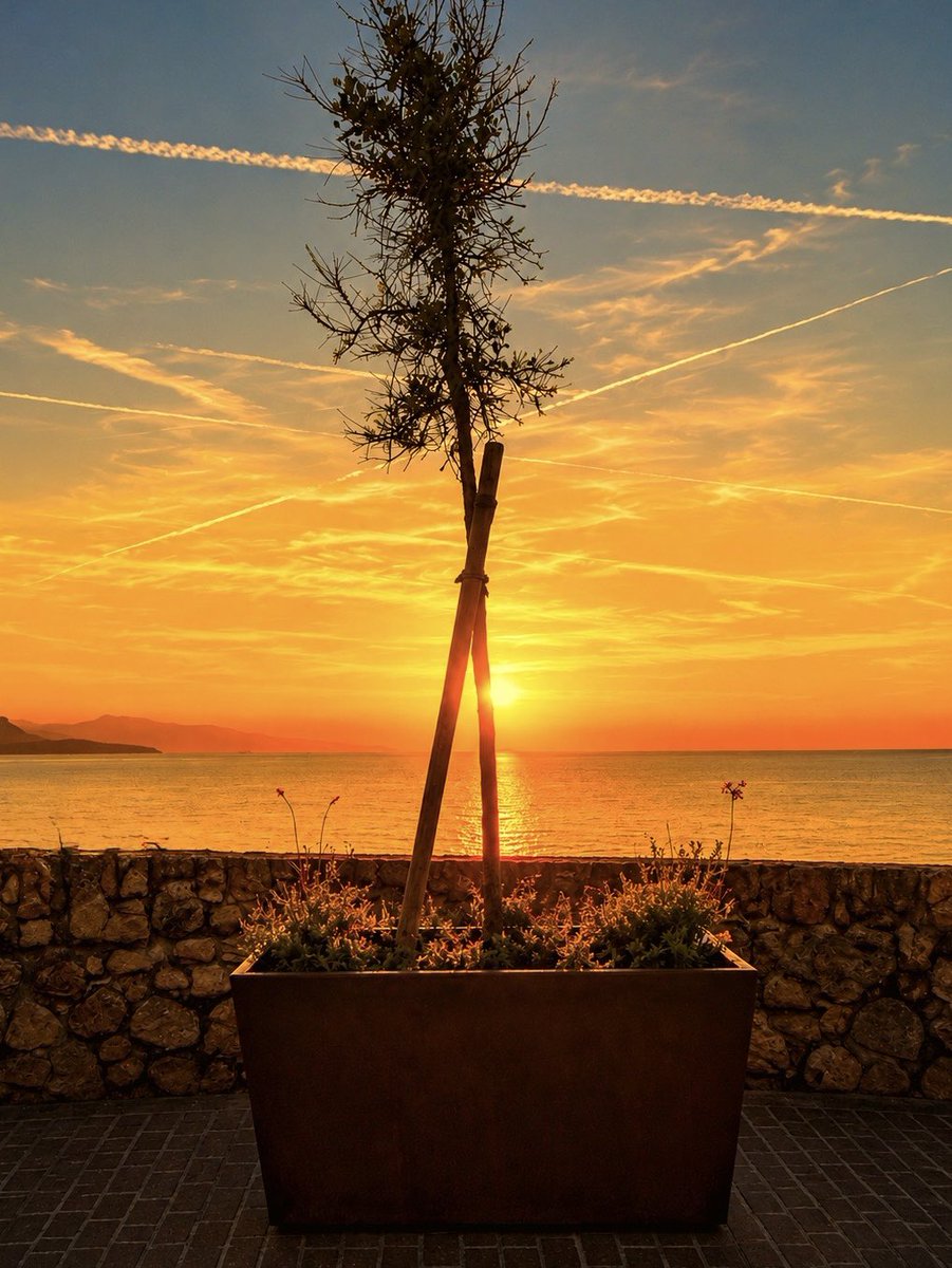 lm_marius's tweet photo. Une nouvelle journée commence sous le ciel lumineux d’Antibes ✨ belle journée à tous 💫

#sunrise #antibes #paca #alpesmaritimes #frenchriviera🇫🇷🌴☀️ https://t.co/IRC45wycbT