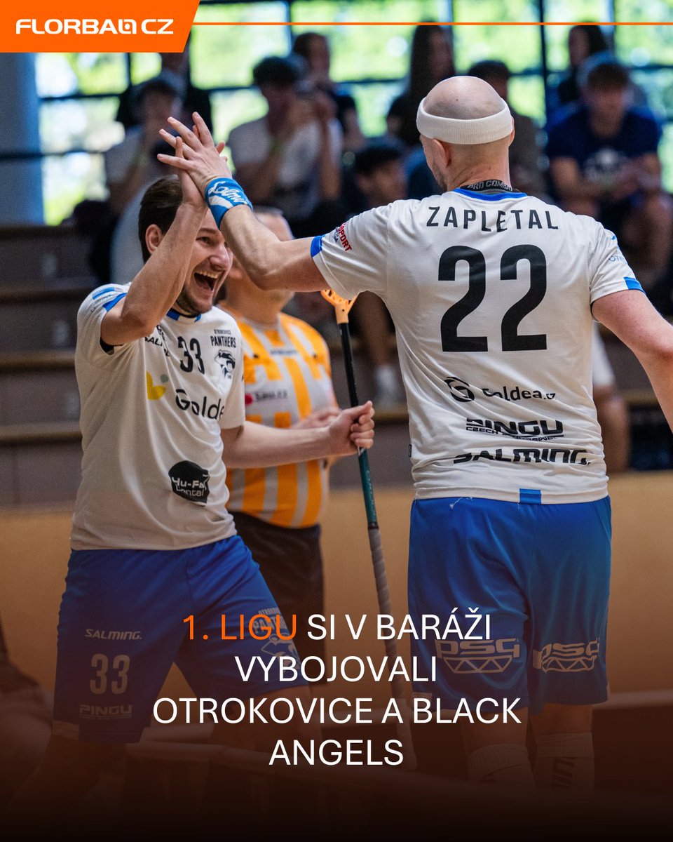 Florbal.cz tweet media