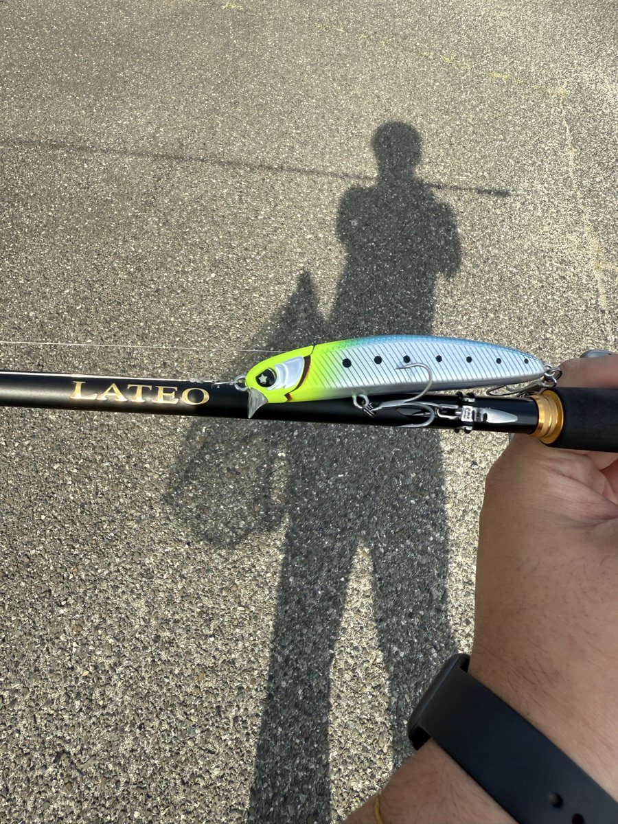 mebarufishing's tweet photo. DAY2シーバス釣りたい
よろしくお願いします https://t.co/03JSCFil6i