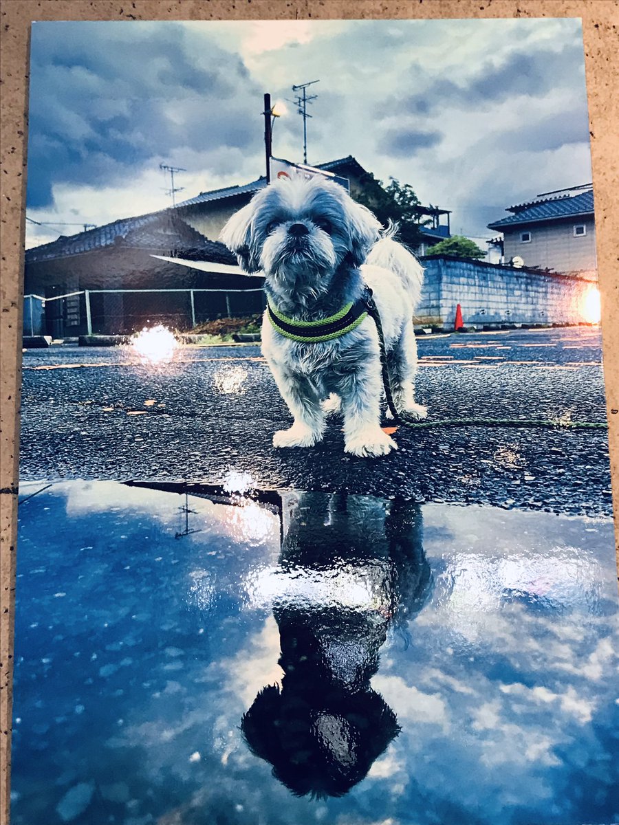 ありがとう！ありがとう！！
