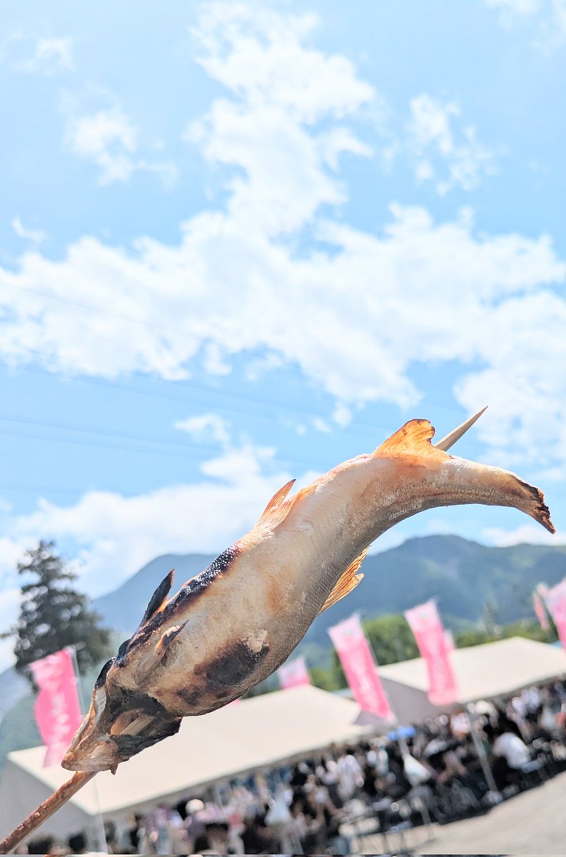 0141grape's tweet photo. ごーるでんなうぃーく https://t.co/fowb0hW4fn