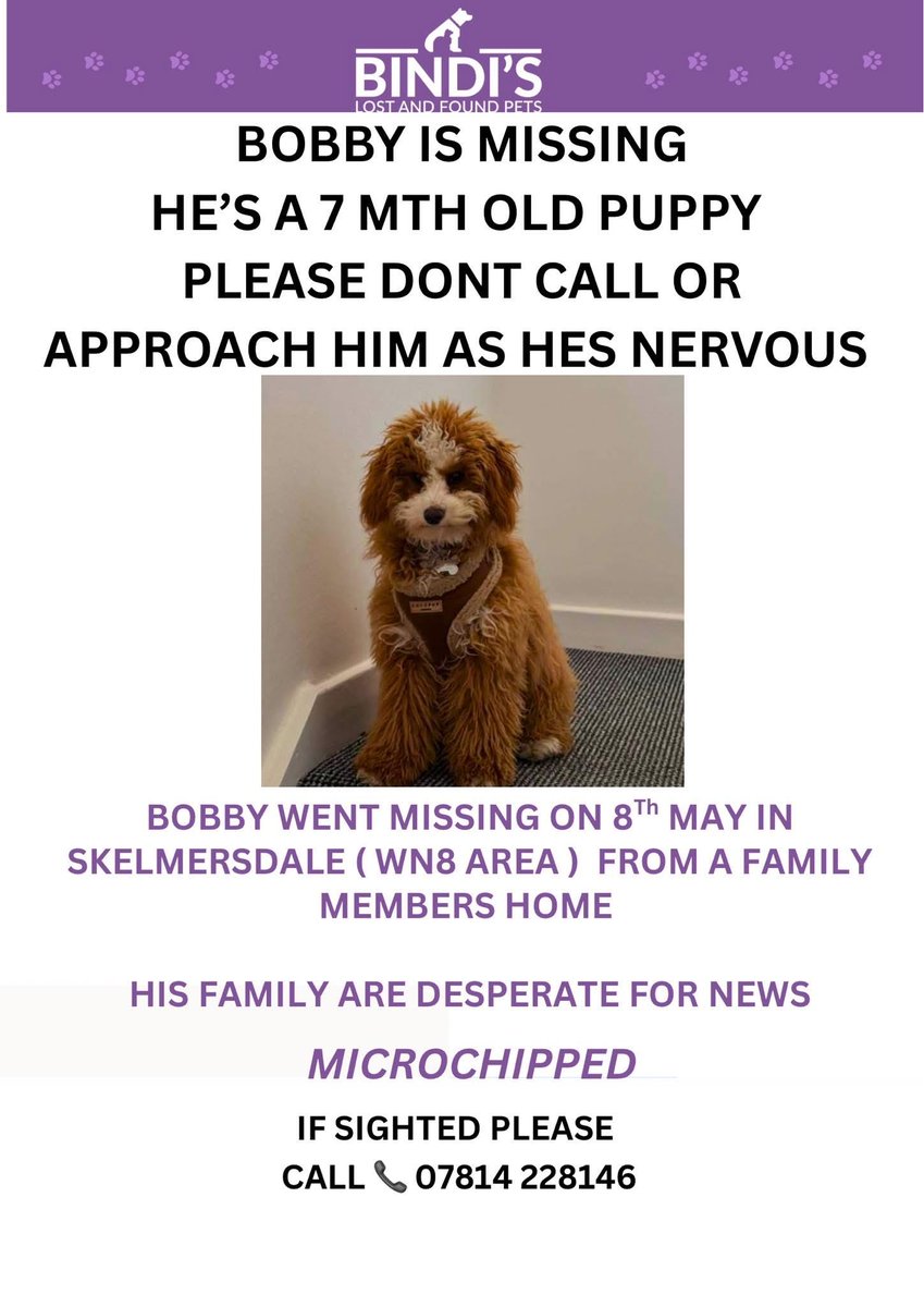 MakeChipsCount to Reunite Pets tweet media