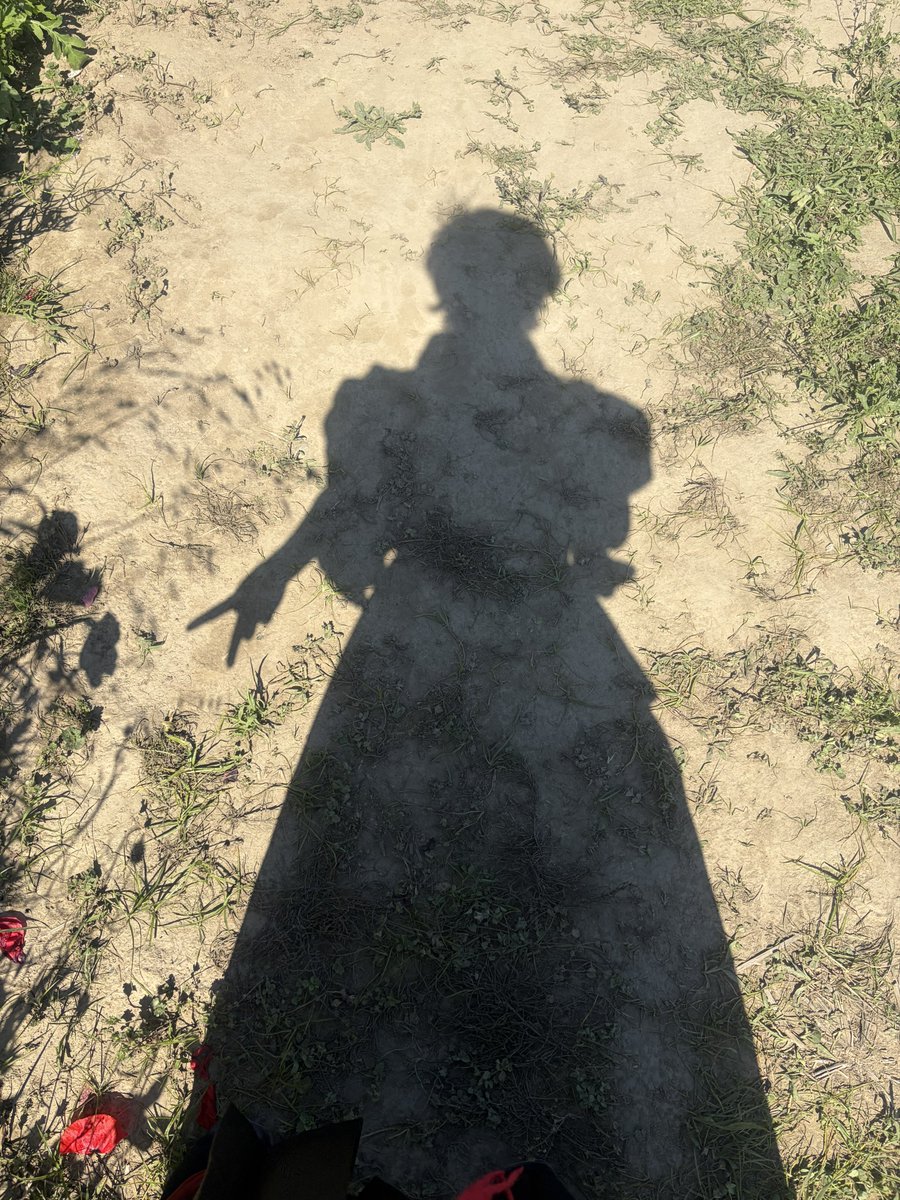 Post by シヅキ on X: わず🥳