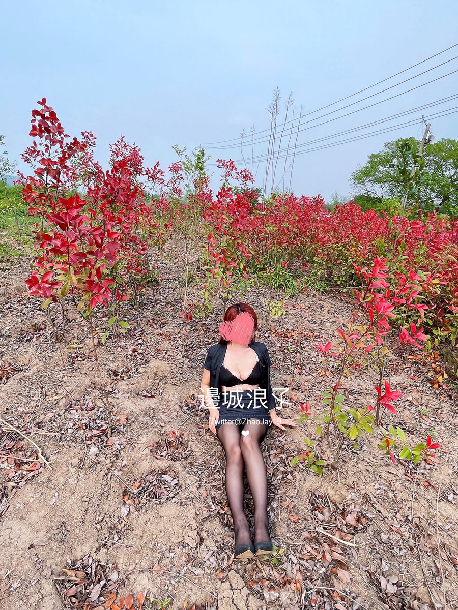 想问一下  男的喜欢在房间里？还是户外？还是车上？其实车里我感觉体验不太好，空间太小了 施展不开🤣 https://t.co/hNebCjW4Oa