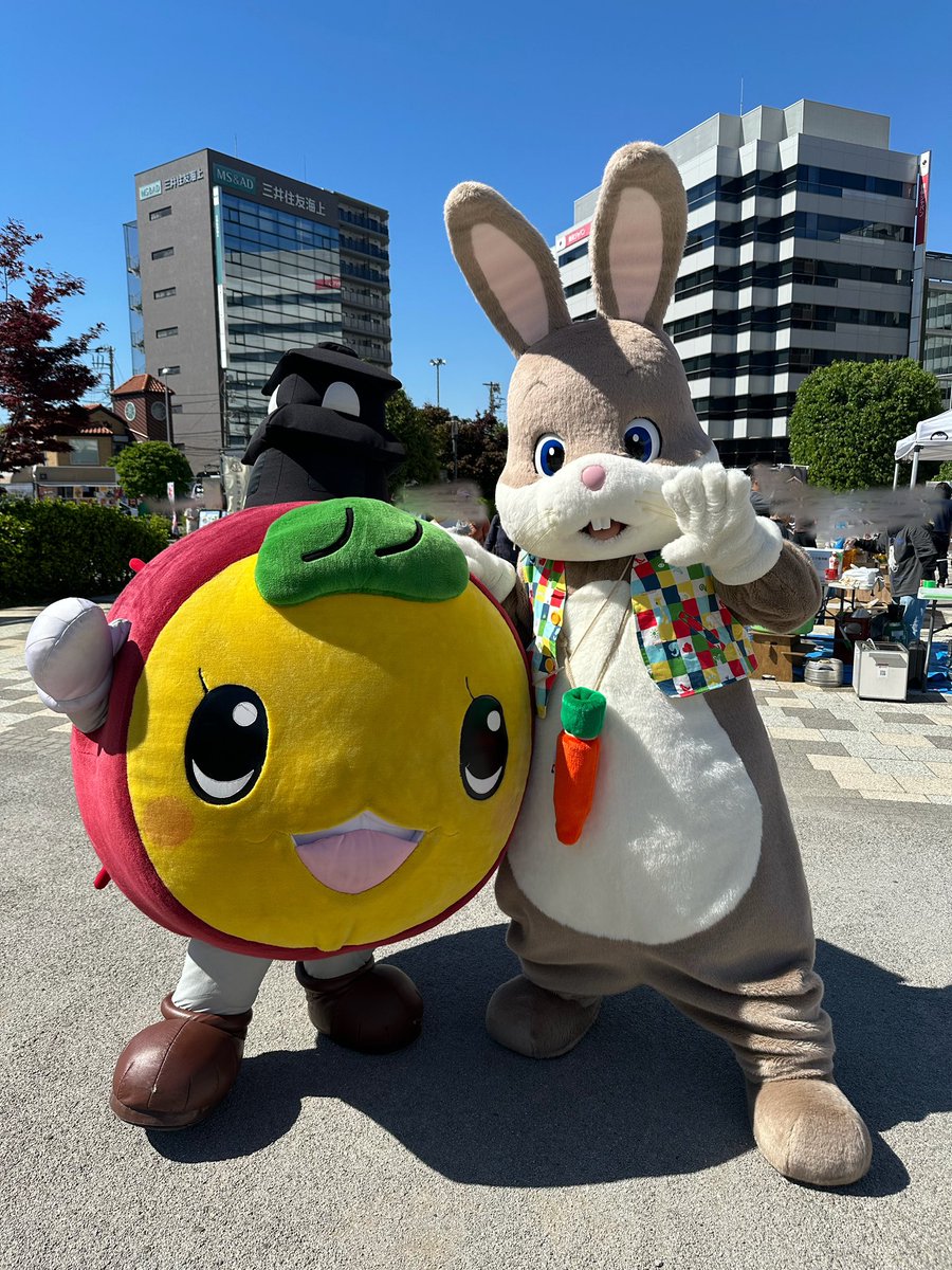 どんちゃん (@Donn_Chann) / Posts / X