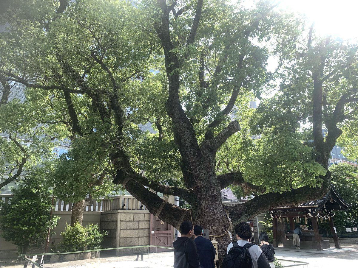 real_reggae's tweet photo. 心斎橋。

難波神社
仁徳天皇にご挨拶。
心斎橋ラストデイ https://t.co/KYSzRzxHUe
