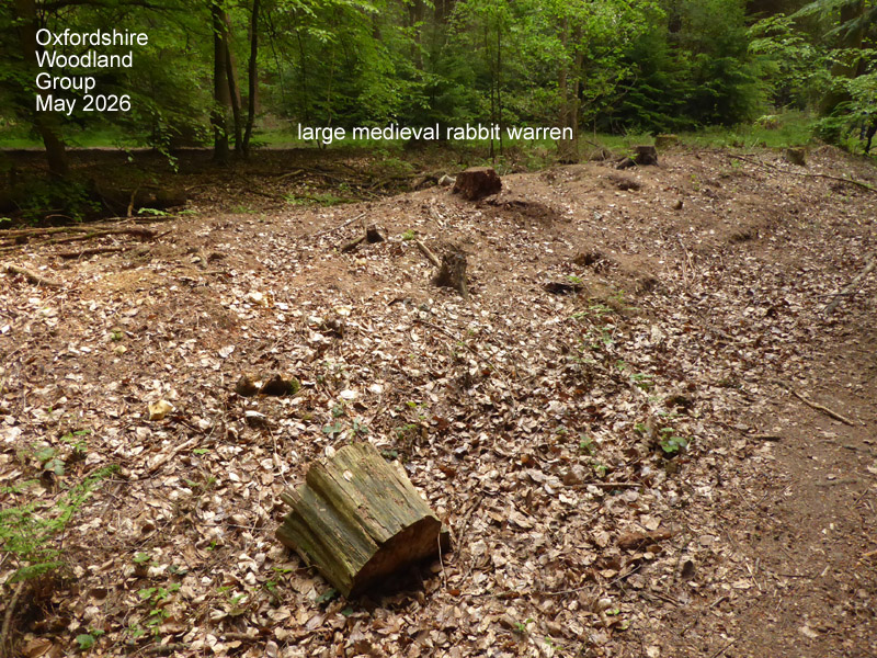 Oxfordshire Woodland Group tweet media