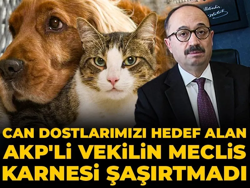 Halk TV tweet media