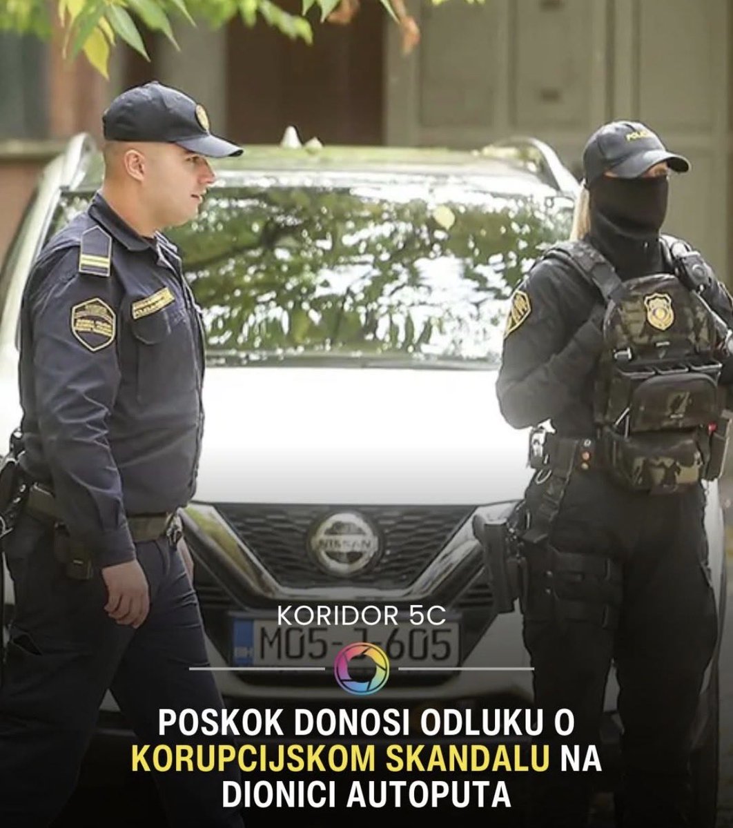 @fokus tweet media