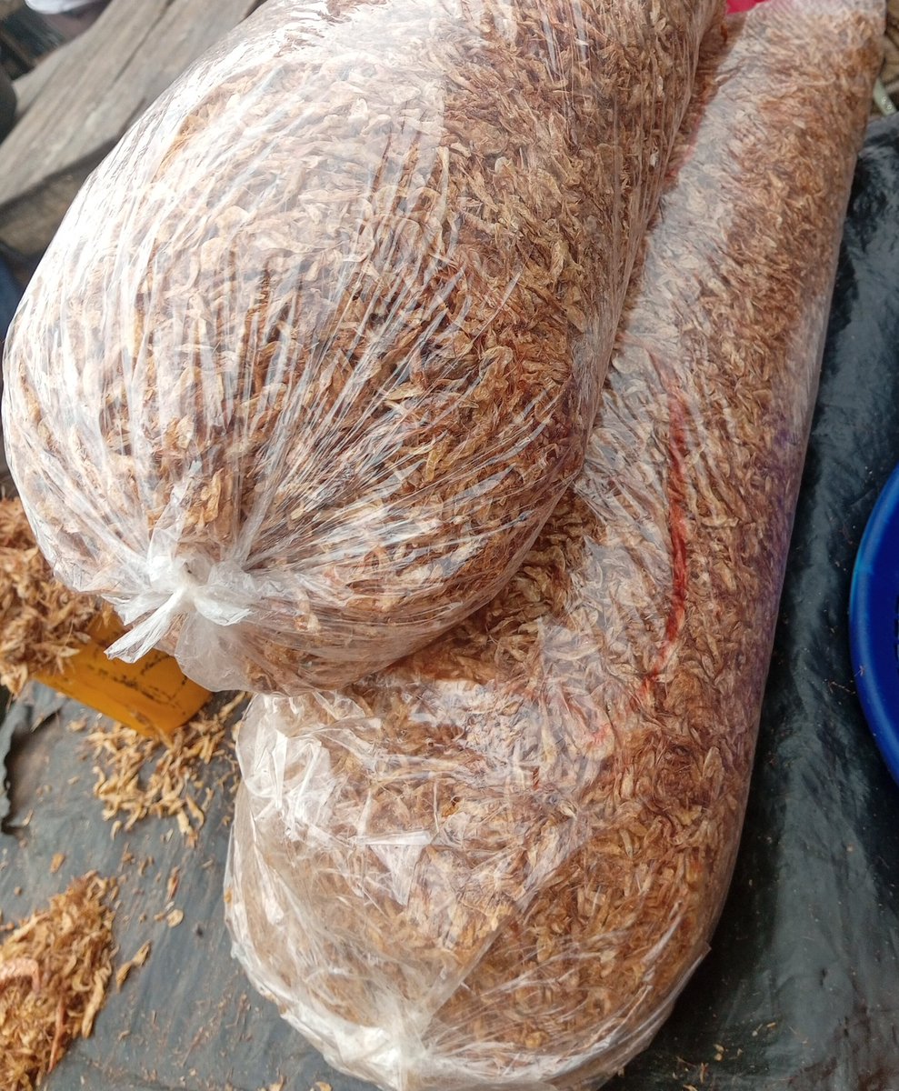 tamunoM1's tweet photo. Nothing is sweeter thanearly morning order. 
Happy weekend my people

Oron crayfish 12k per custard
Sending out 11 rubbers this morning. 

DM or call 09061622744 to order https://t.co/VI2nlN7mEl