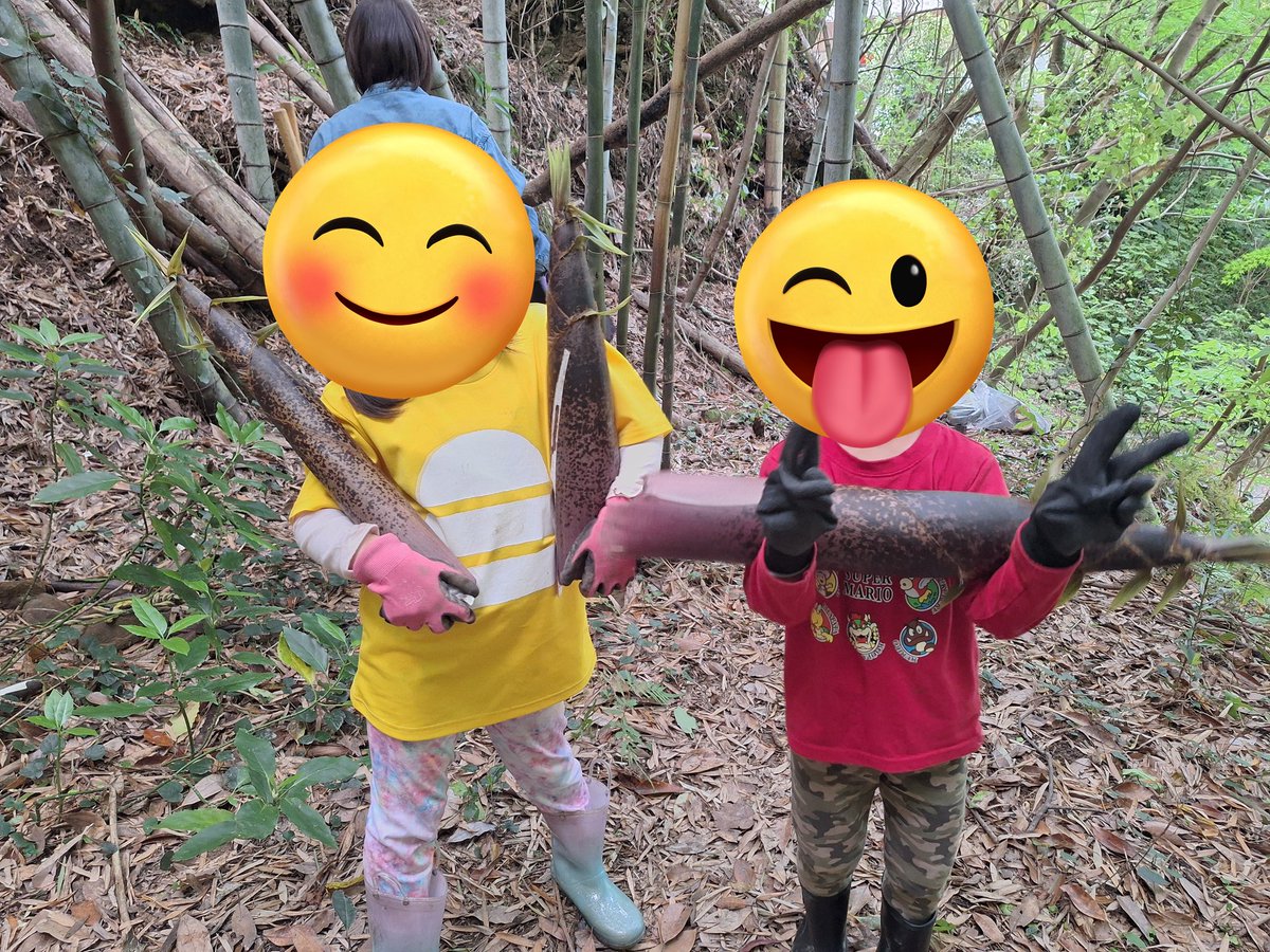 Chiffons285285's tweet photo. 先月は、子供達のたけのこ掘りイベントも１ヶ月開催しました🤗🌸
私はその都度山に登らなければならないので、10回近く１ヶ月で登って、全身筋肉痛でした😆💦
なかなか体験出来ないイベントに、みんな喜んでくれて、子供達の経験としての思い出になるなら、これからも頑張りたいイベントです😊✨️ https://t.co/63h1XIQ17p