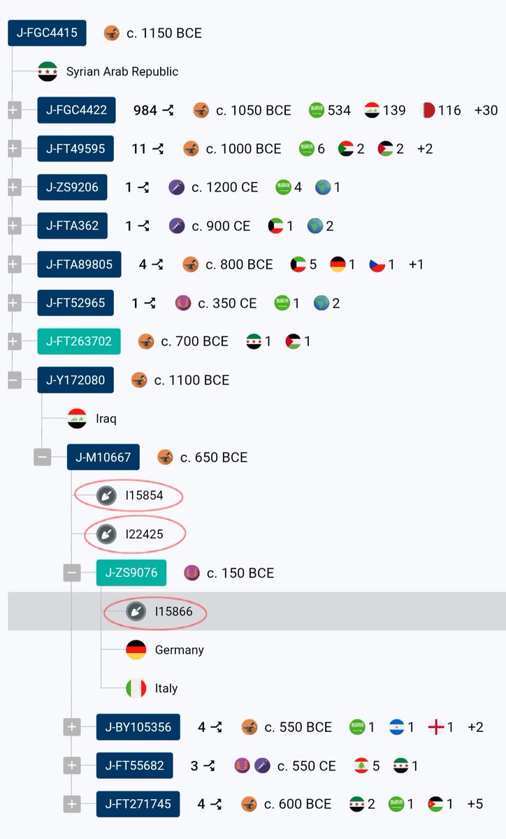 زبيد طيىء مذحج FGC4415 tweet media