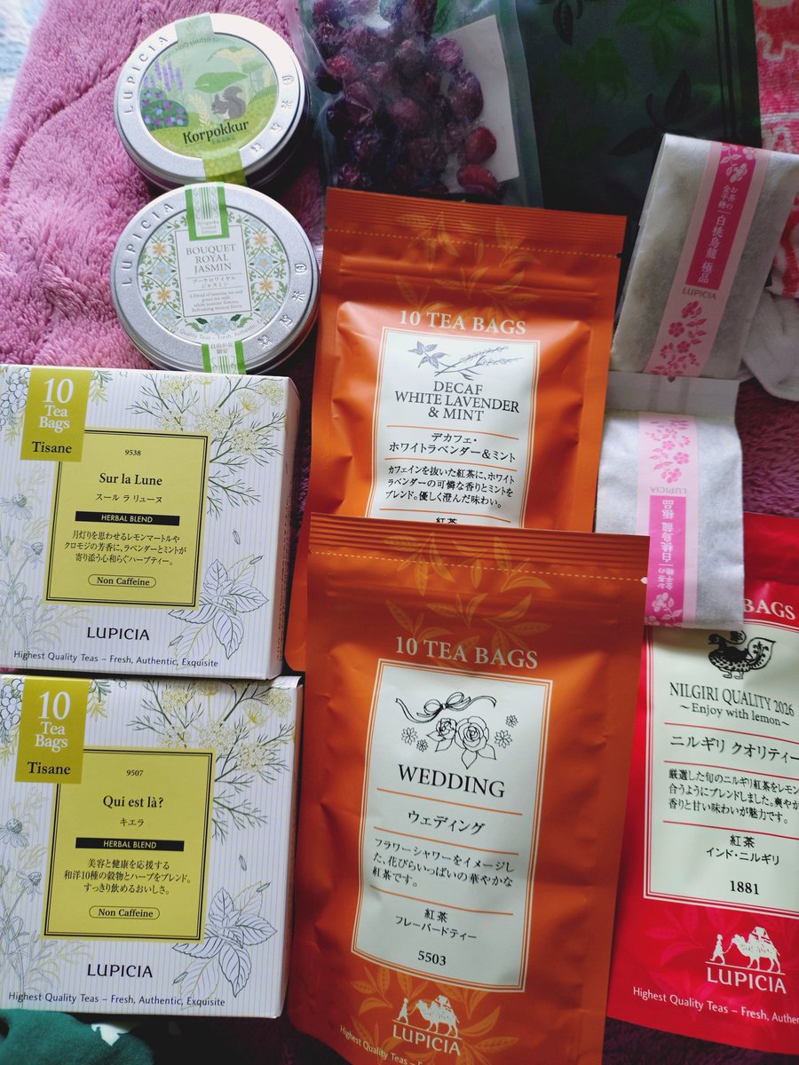 iceminttea_'s tweet photo. 楽しみにしていたイベントに行ってきた！
ラベンダーやミントのお茶を新しく発見できて嬉しい😆普段買わないお茶も手に入れたので明日から水出しにしよう

#グランマルシェ
#ルピシア https://t.co/O2WXB5n6HC
