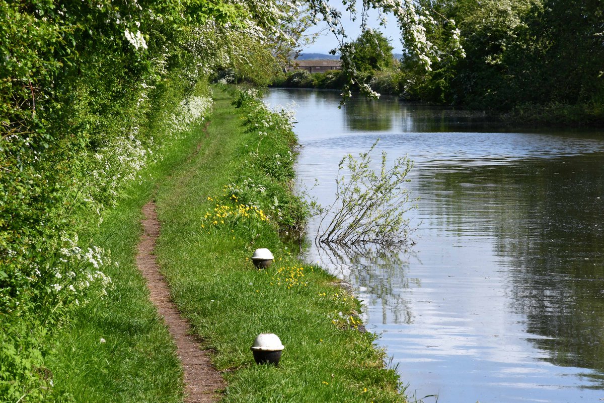 retired_tom's tweet photo. My photos from #May 2023
@CanalRiverTrust #GrandUnionCanal #Ivinghoe #Slapton #Lock #Bridge #Narrowboat #Hawthorn #Reflections
#Canals & #Waterways can provide #Peace & #calm for your own #Wellbeing #Lifesbetterbywater #KeepCanalsAlive https://t.co/HVhzyF5qyQ