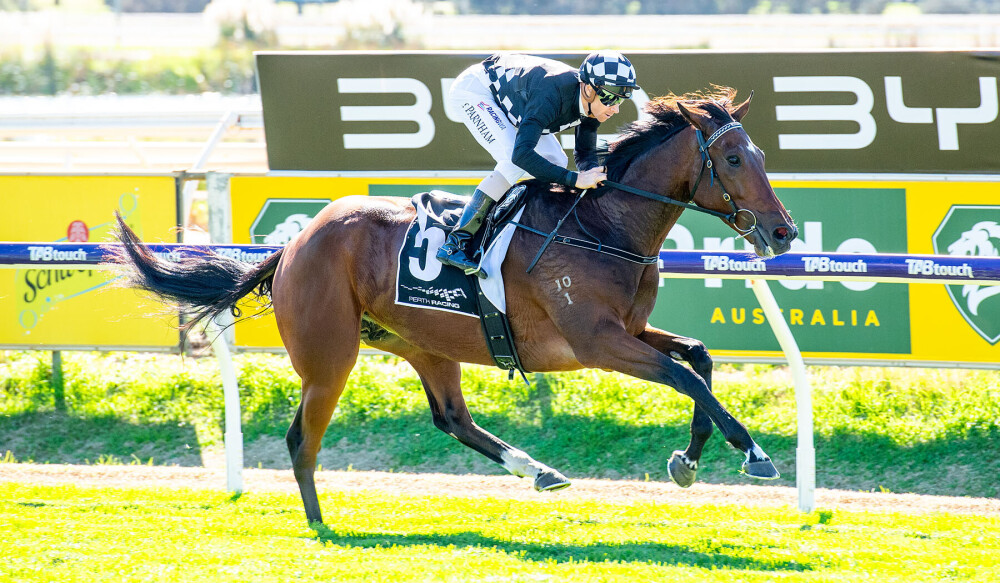 Perth Racing tweet media