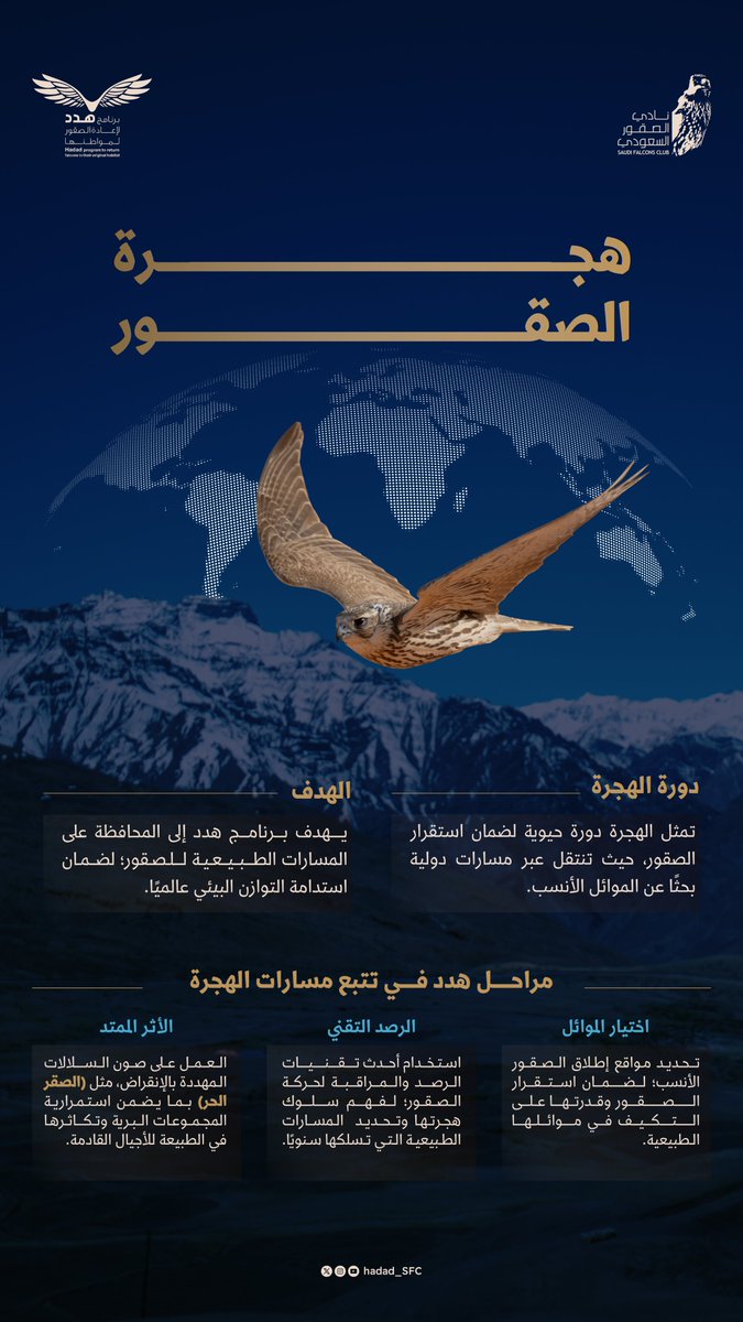 Hadad_NCF's tweet photo. هجرة الصقور…
رحلةٌ عابرةٌ للحدود، تحفظ توازن الطبيعة 🌍

ويعزّز #برنامج_هدد حماية الصقور خلال رحلات الهجرة عبر هذه المسارات الطبيعية؛ دعمًا لاستدامتها وصونًا للتوازن البيئي.

#اليوم_العالمي_للطيور_المهاجرة
#WMBD2026 https://t.co/RuHusiOZ9b