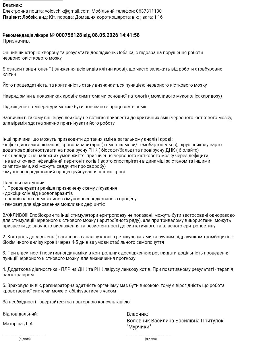 Міністерство котячих справ tweet media
