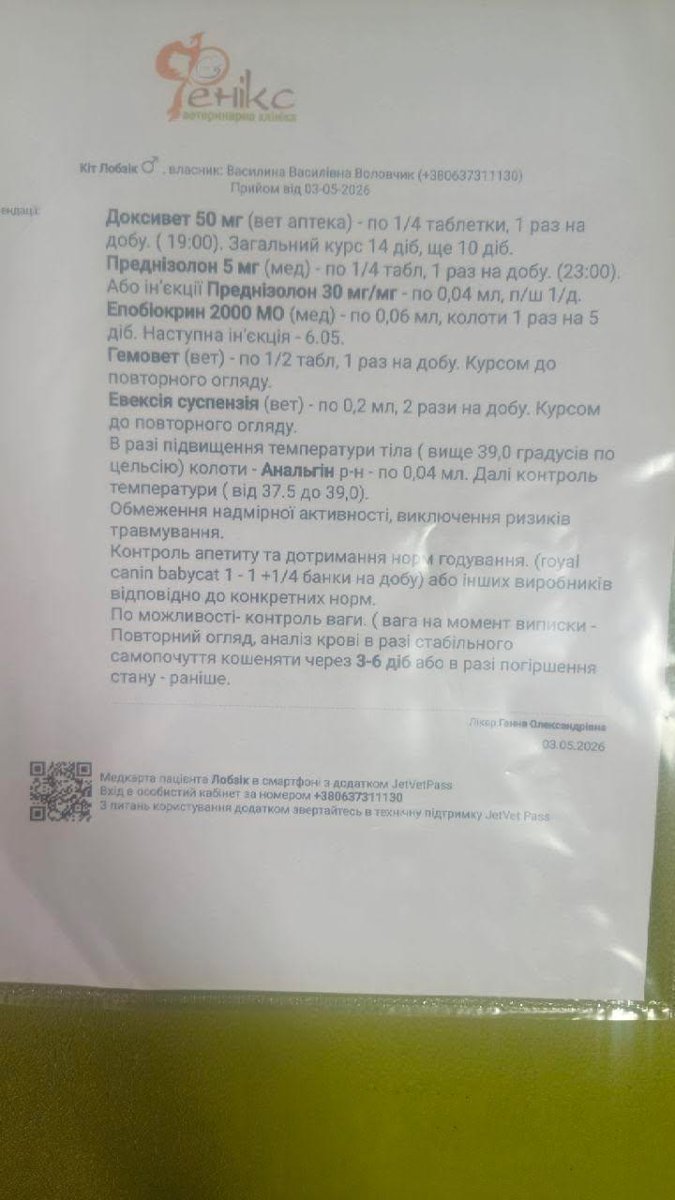 Міністерство котячих справ tweet media