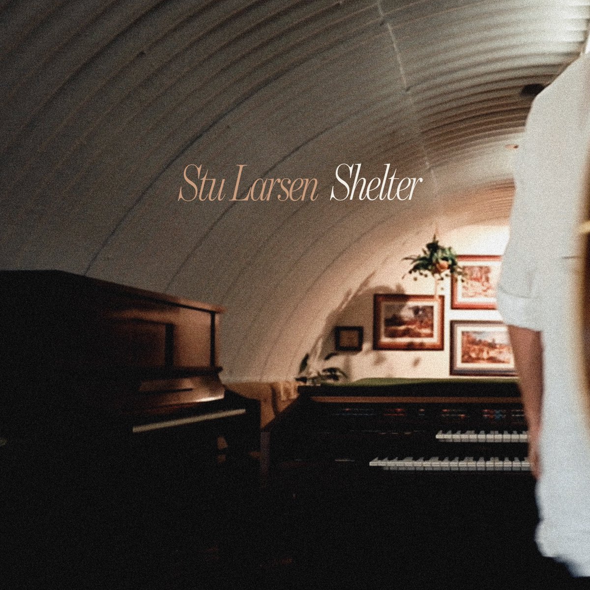 stu larsen tweet media