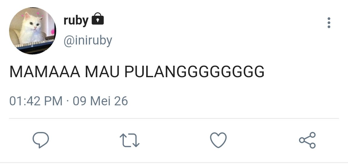 ᯓᡣ𐭩 tweet media