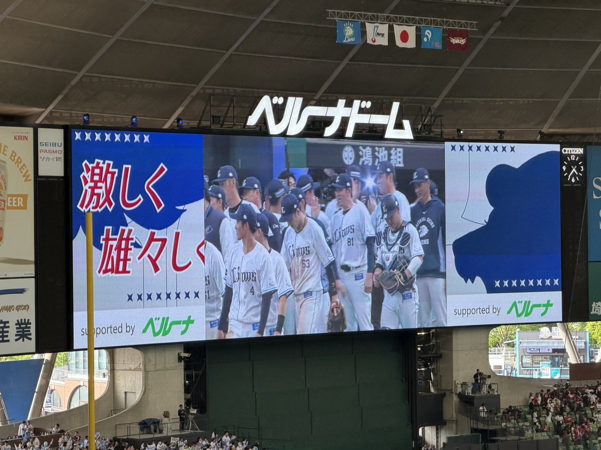 Aloha,LionsBlue⚾🦁🌺🌴🇺🇸⚾️ tweet media