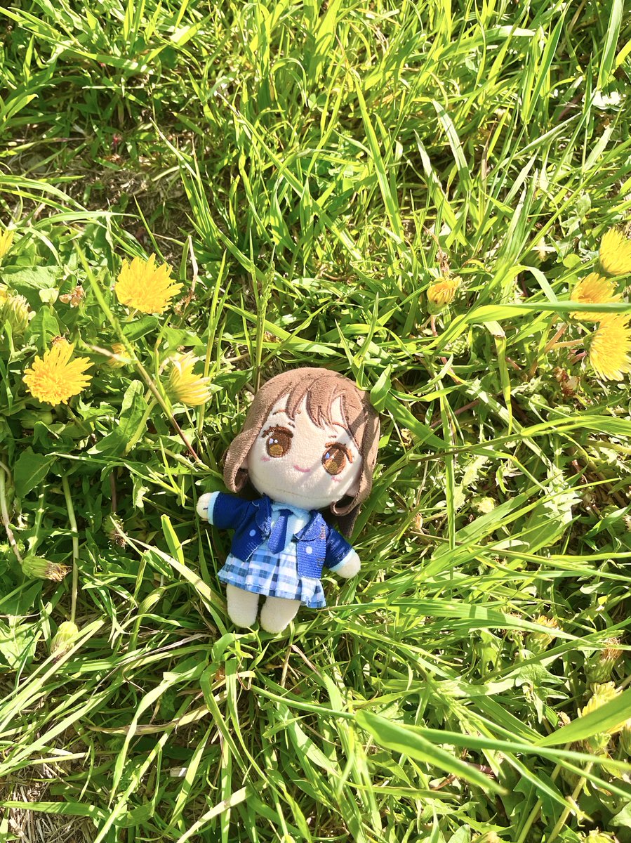 かおりちゃんぬい