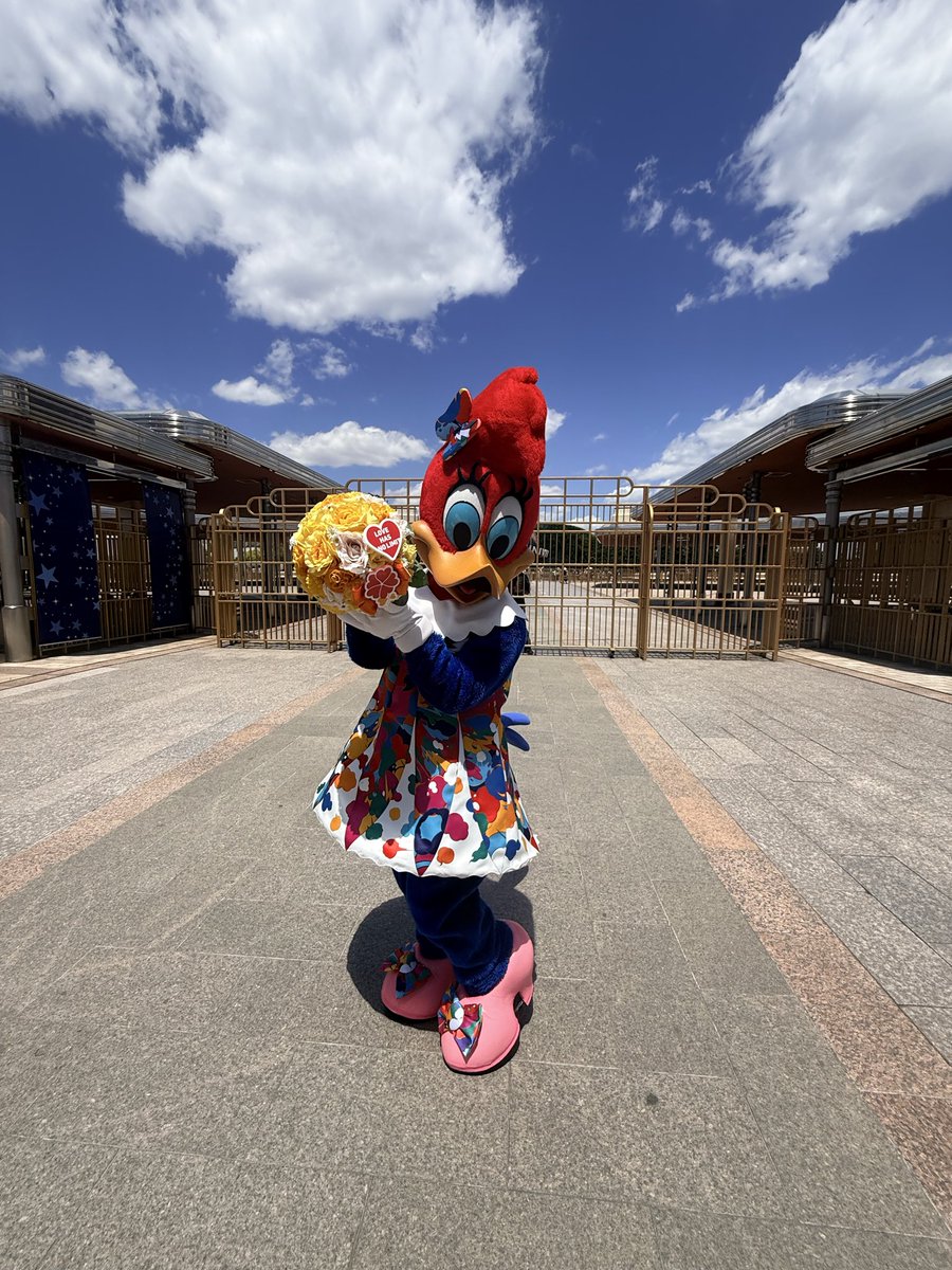 いないいない…ばあ🌼❤️ウッディがメロメロなわけやで😆
#USJファン