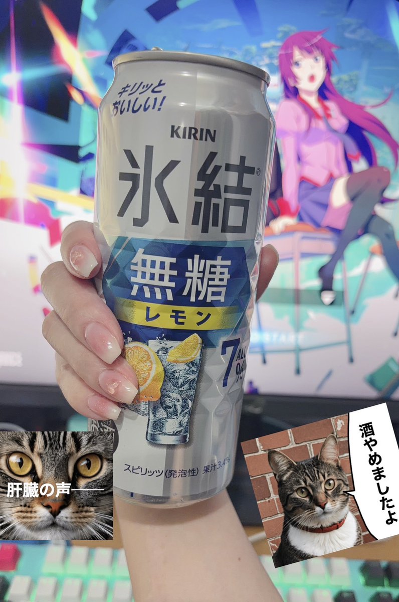 誠実なアル中🍺 tweet media