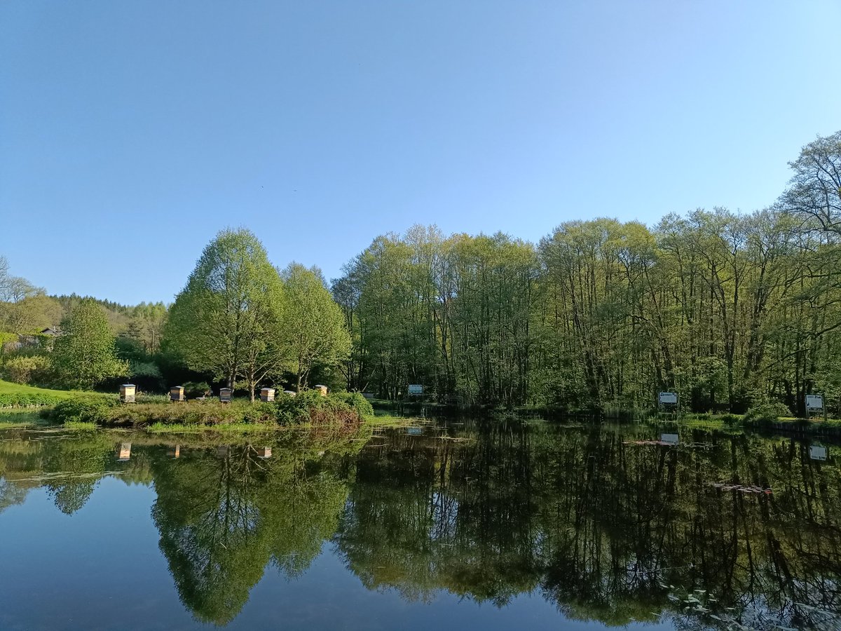 rustbowtv's tweet photo. #vrtweer

Nannini Van Gestel, brouwerij van La Chouffe, Achouffe. 9u45 https://t.co/L2euDix9un