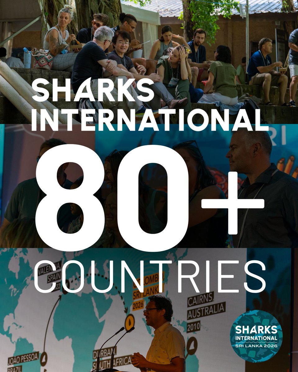 Sharks International 2026 tweet media