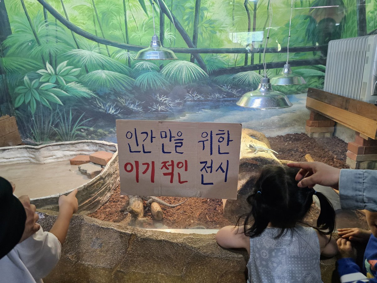 animalmoim's tweet photo. https://t.co/KCx147p7fY