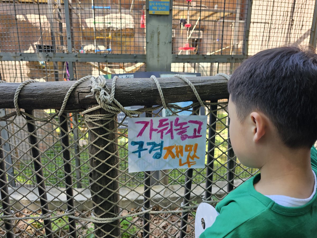 animalmoim's tweet photo. https://t.co/uf9fGDDmbe